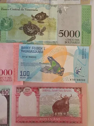 Lote Billetes de animales nuevos.