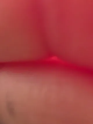 Lote Billetes de animales nuevos.