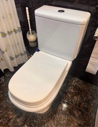 Inodoro y bidé Roca Dama Retro