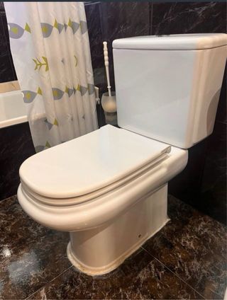 Inodoro y bidé Roca Dama Retro