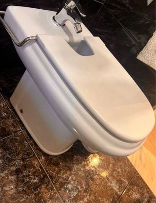 Inodoro y bidé Roca Dama Retro