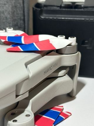 DJI Mavic Mini Fly More Combo Gris