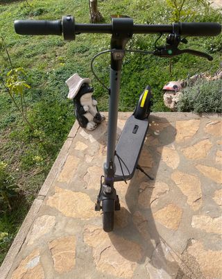 Patinete Eléctrico Cecotec Bongo 20XL REGALO CASCO