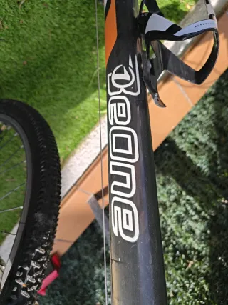 Bicicleta de montaña