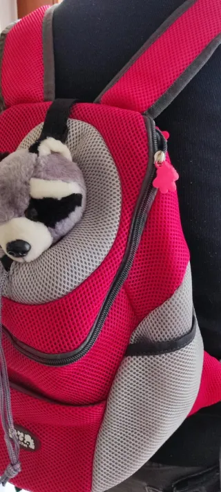 Zaino trasporto cani/gatti piccola taglia NUOVO