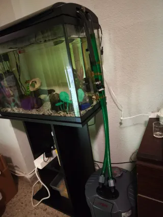 Filtro acuario Sera Biofil 250 + UV