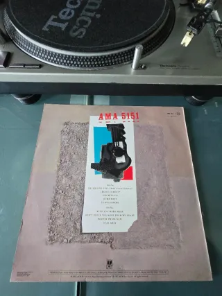 Vinilo Immaculate Fools - Dumb Poet