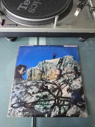 Vinilo Immaculate Fools - Dumb Poet