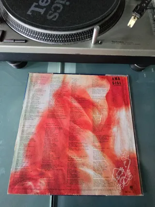 Vinilo Immaculate Fools - Dumb Poet