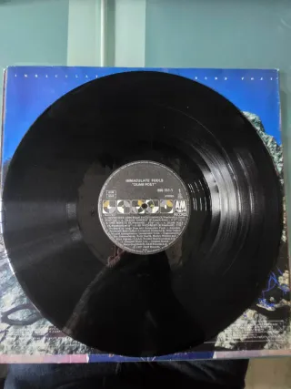 Vinilo Immaculate Fools - Dumb Poet