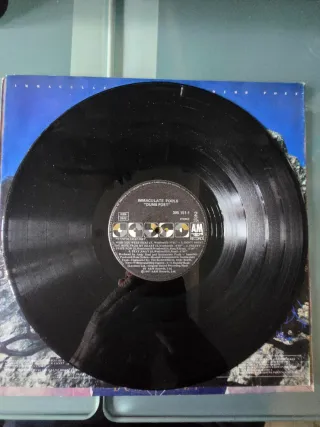 Vinilo Immaculate Fools - Dumb Poet