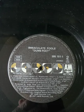 Vinilo Immaculate Fools - Dumb Poet