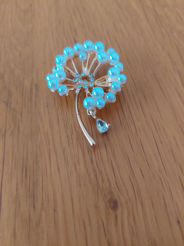 Broche con Perlas y Brillantes (falsas)