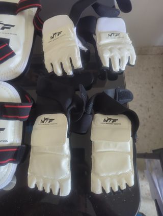 Protecciones Taekwondo WTF
