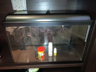 Pecera con accesorios