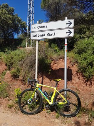 Giant TCR Advanced Disc 2017 Talla S