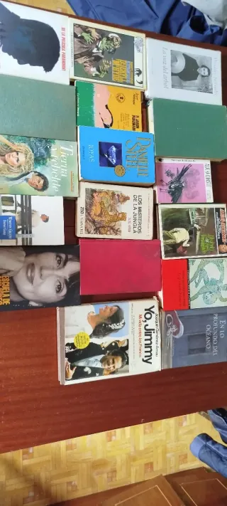 Lote libros. URGE VENTA