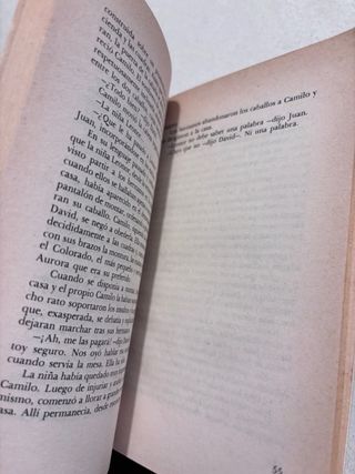 Los jefes ; Los cachorros de Mario Vargas Llosa