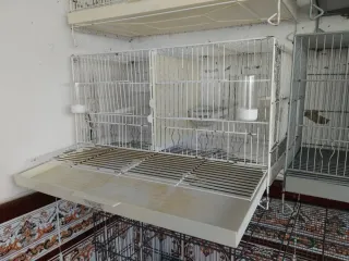 Jaula de cría Pedross 60cm