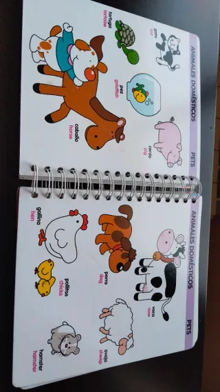 El Libro en Español-Inglés