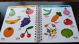 El Libro en Español-Inglés