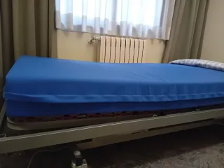 Cama articulada eléctrica con colchón
