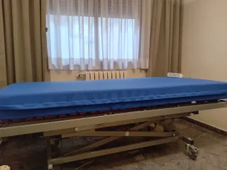 Cama articulada eléctrica con colchón