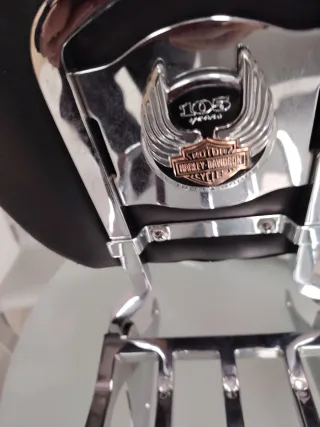 Respaldo Harley-Davidson con Parrilla