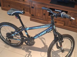 Bicicleta infantil X-Sport