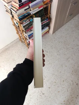 La paciente silenciosa / The Silent Patient (Sp...