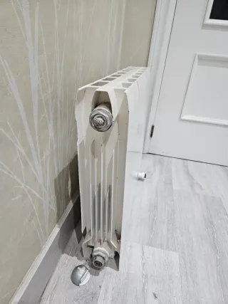 Radiador de agua blanco