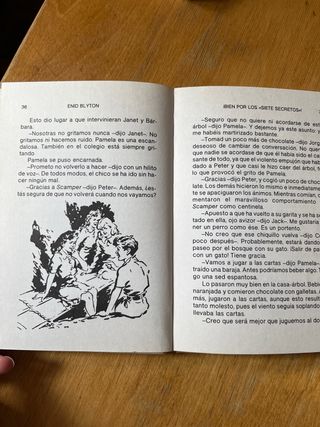 Libro Bien por los siete secretos