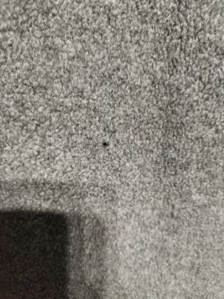 Chaqueta polar The North Face Talla L unisex