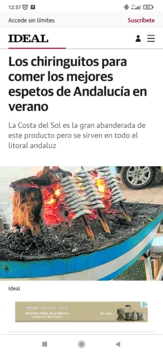 Original barbacoa Barquita Espetera