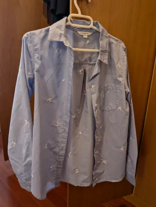 Camisa celeste bordada Springfield