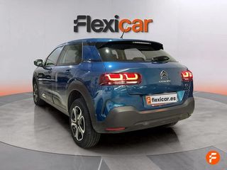 Citroën C4 Cactus BlueHDi 100 S&S Feel