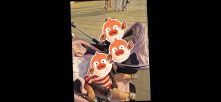 Carrito Bugaboo Donkey 2 Silleta Capazo