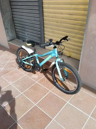 Bicicleta montaña Giant liv 20" niña