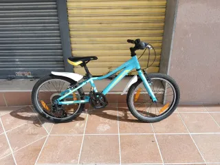 Bicicleta montaña Giant liv 20" niña