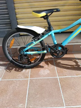 Bicicleta montaña Giant liv 20" niña