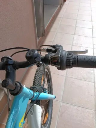 Bicicleta montaña Giant liv 20" niña