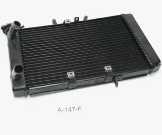 Radiador Triumph 800 XC 2014