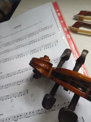 Violín de iniciación OQAN OV100 con accesorios