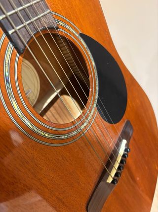 Guitarra Acústica Greg Bennett