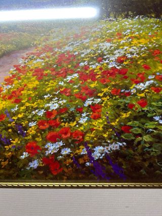 Cuadros de flores decorativos