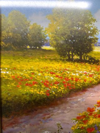 Cuadros de flores decorativos