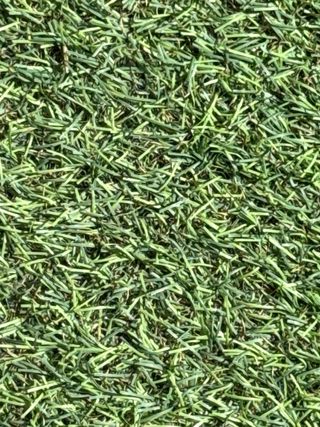 Rollo césped artificial exterior