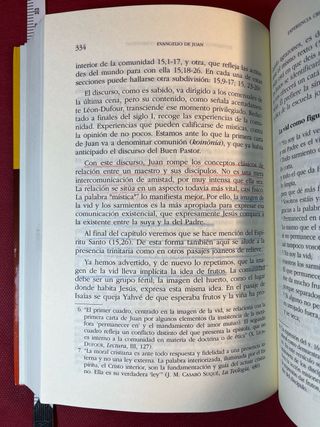 Evangelio de Juan comprensión exegético-existen...