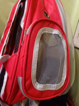 Mochila transportín para gato