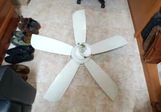 Ventilador de techo multicolor